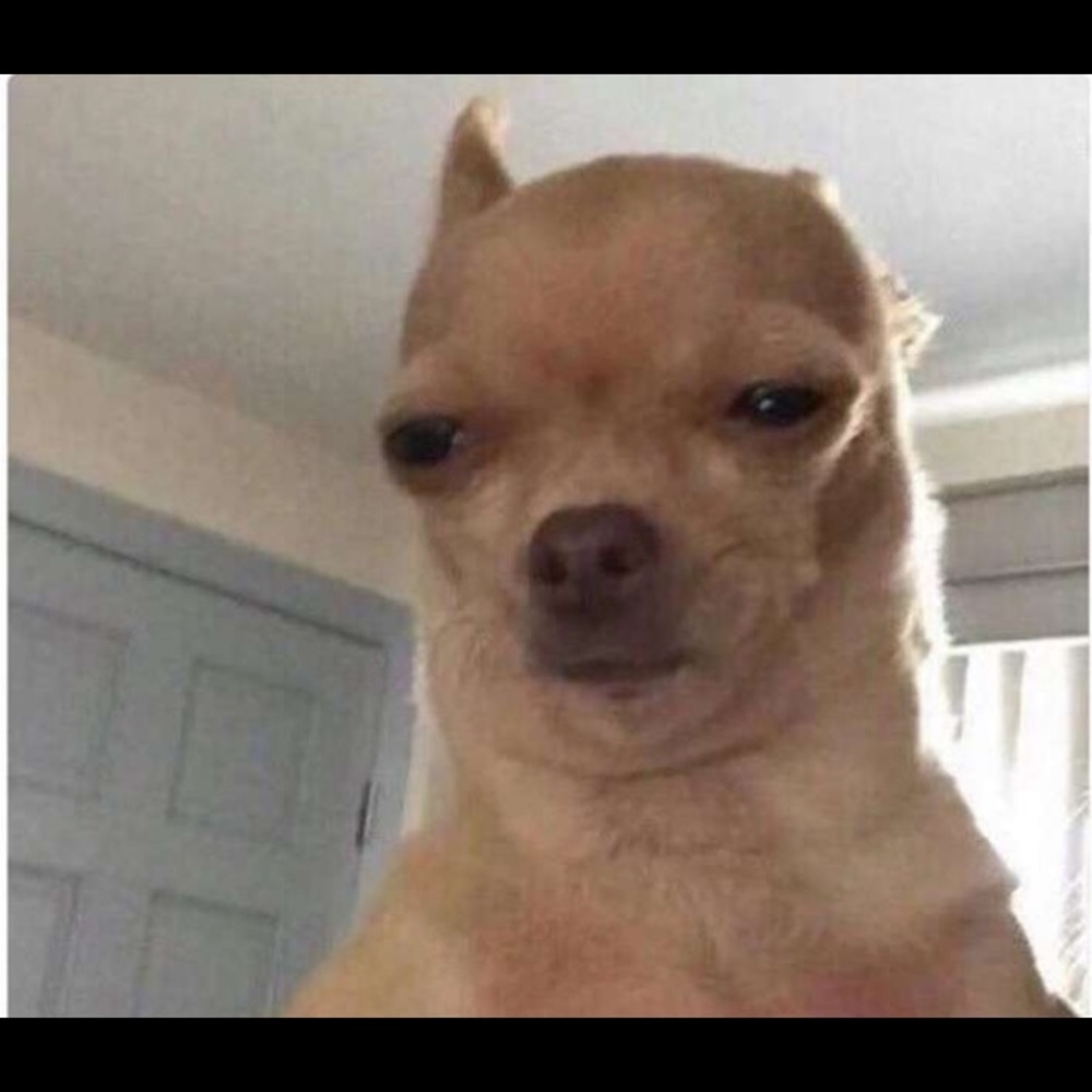 Meet your Posher, Fredy