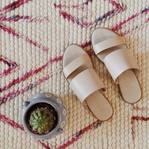 • Mauve Slides •