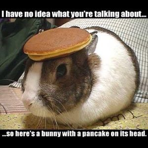 Meet your Posher, Jr