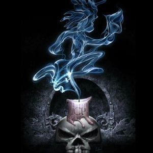 Meet your Posher, Shane