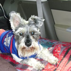 Meet your Posher, Barb