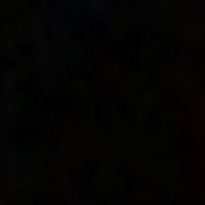 Meet your Posher, Bernard