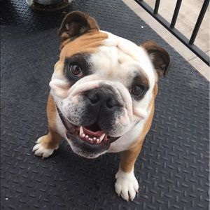 Meet your Posher, Mia