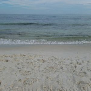 Meet your Posher, Hali