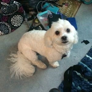 Meet your Posher, Aaron