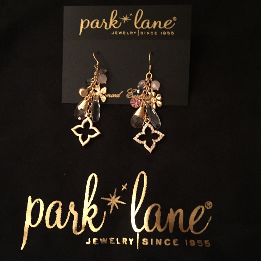 BRAND NEW Earrings
