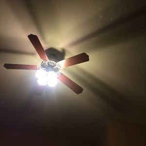 Meet your Posher, Nicholas