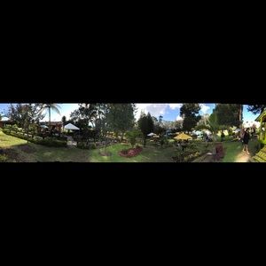 Meet your Posher, Elisa