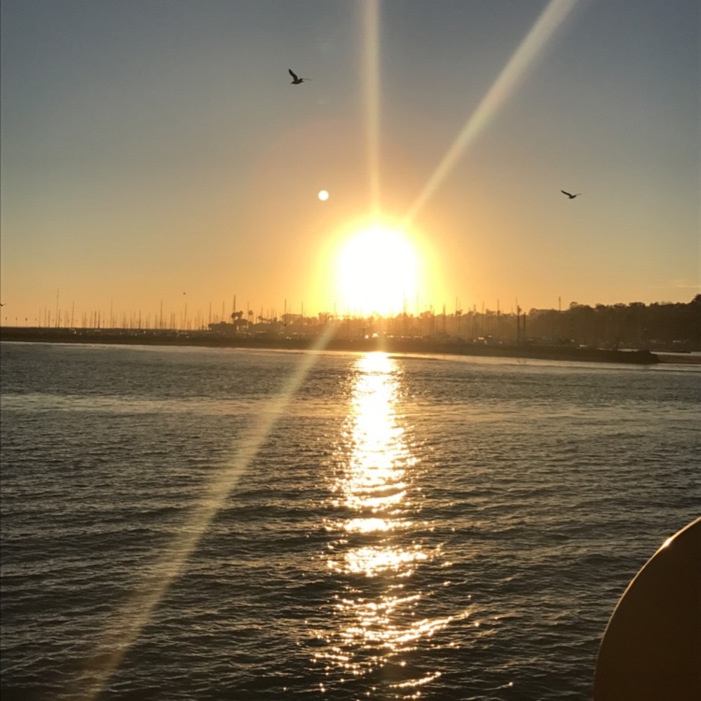 Meet your Posher, Francisca