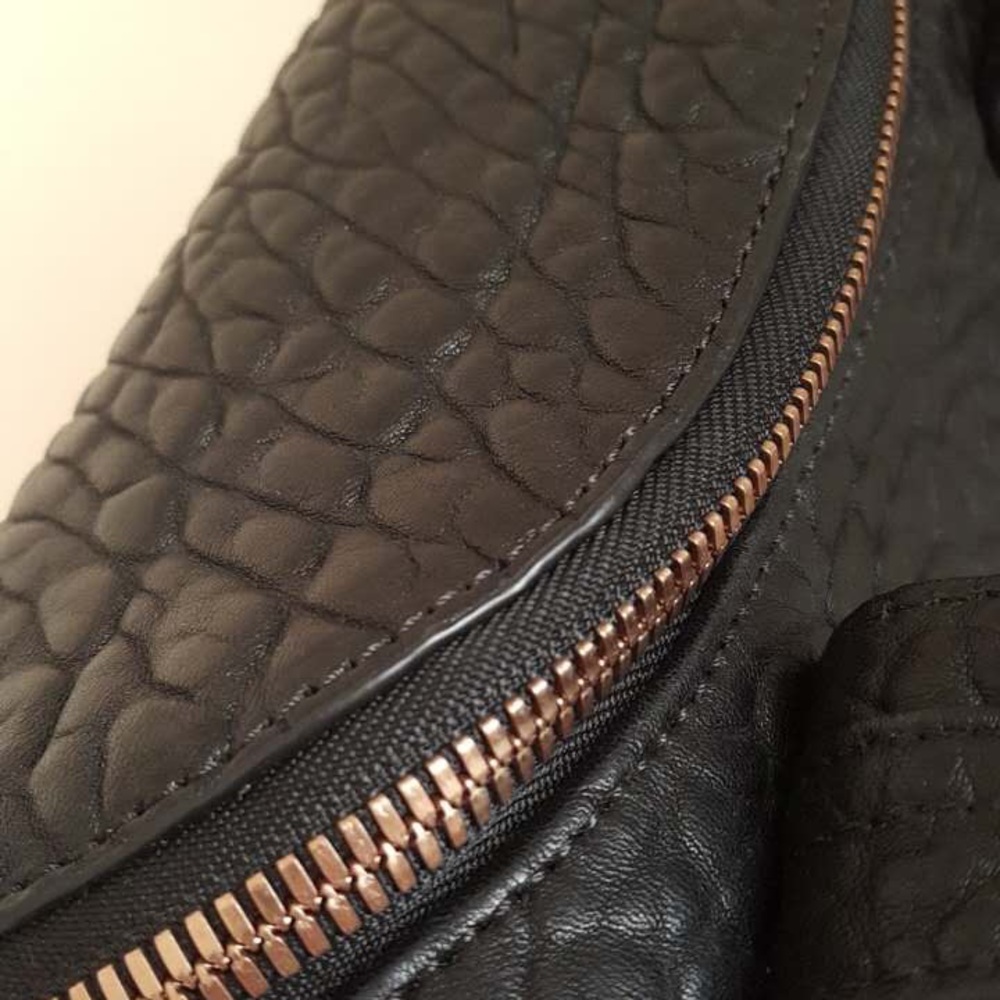 More photos of Alexander Wang Bag