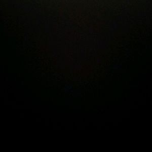 Meet your Posher, Dante