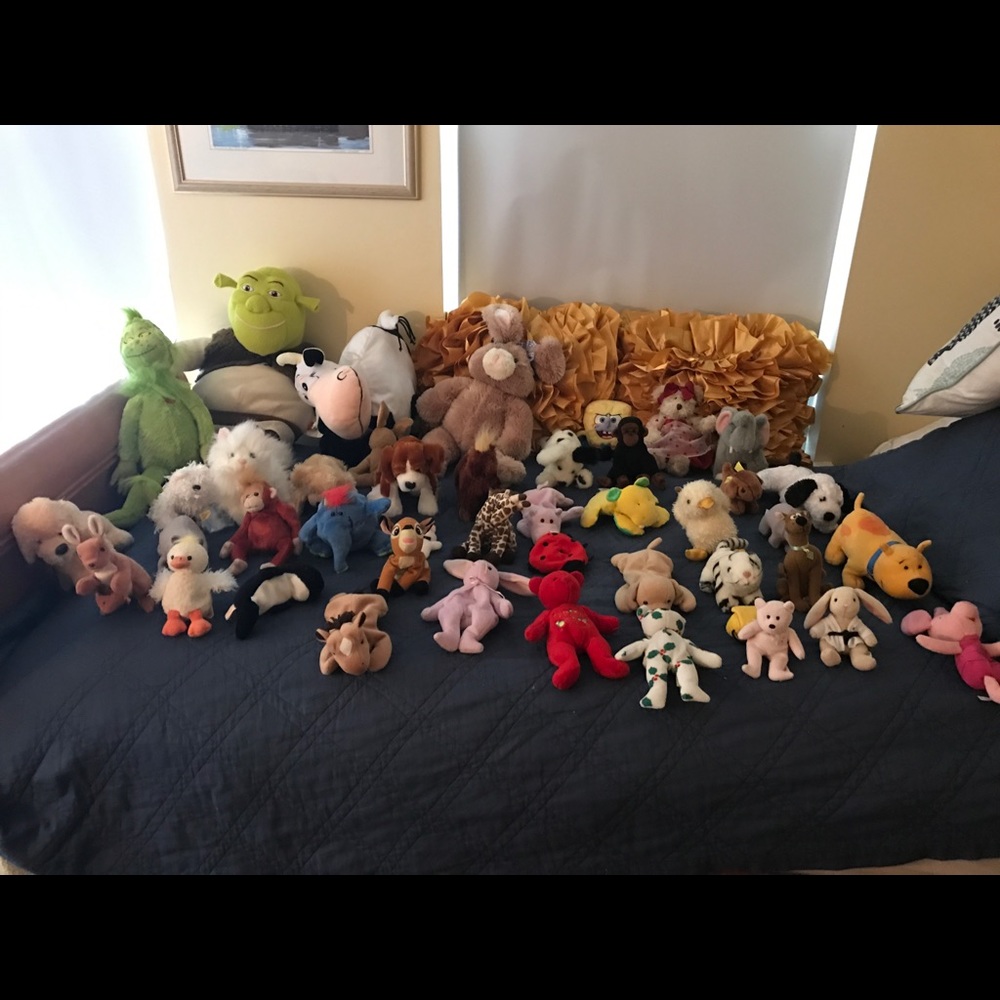 Stuffed toys (Webkinz, build a bears, beanies...).