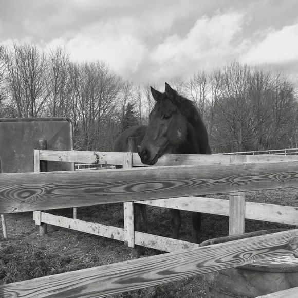 Meet your Posher, Ashley - Picture 2 of 3