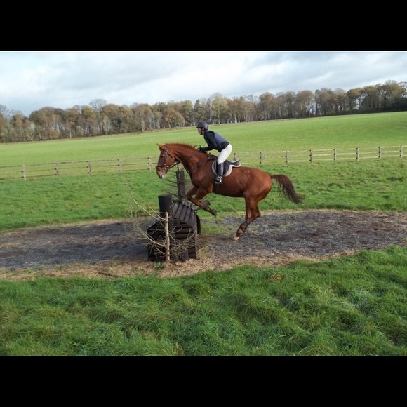 Meet your Posher, Ashley - Picture 3 of 3