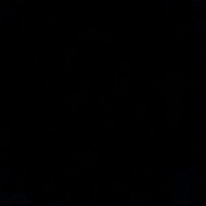 Meet your Posher, Terry