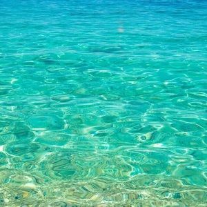 Meet your Posher, Ella