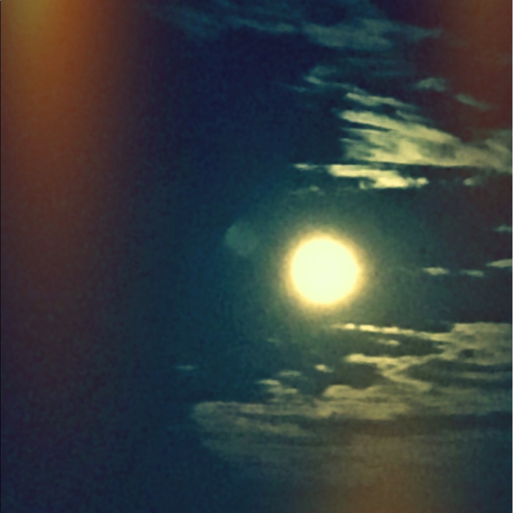 Meet your Posher, Sharon