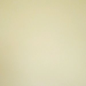 Meet your Posher, Dante