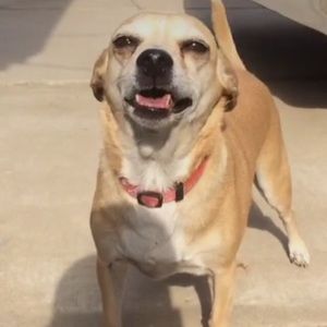 Meet your Posher, Frugi