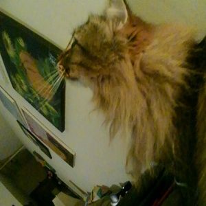 Meet your Posher, Edwin