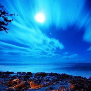 Meet your Posher, True to thyself