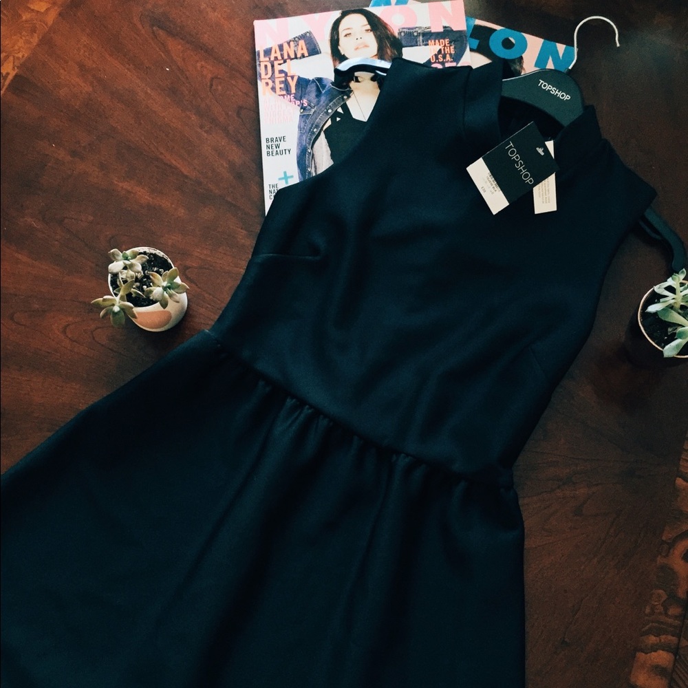 BNWT Topshop Midi skater dress