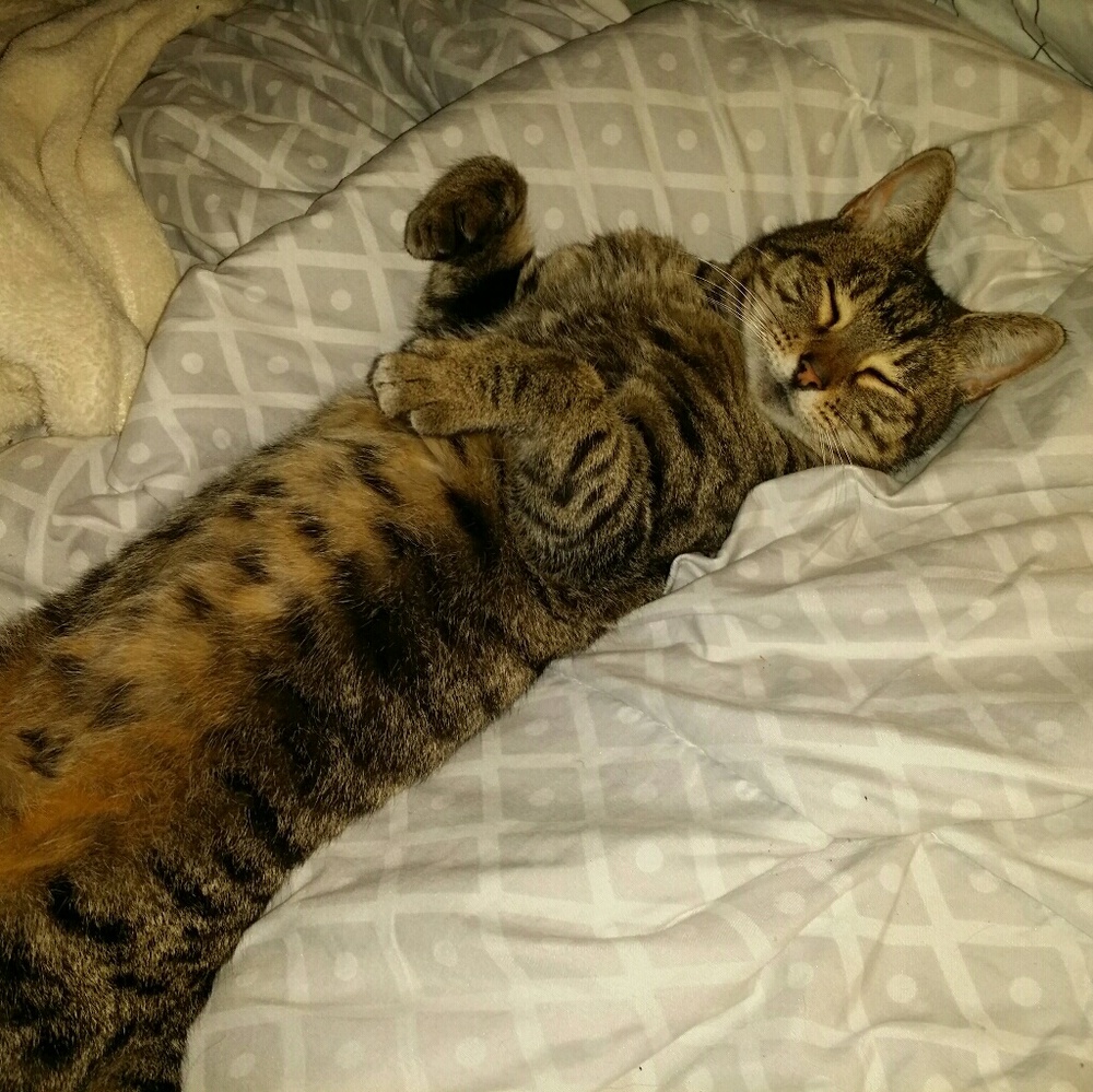 If Only We All Had This Ability To Relax