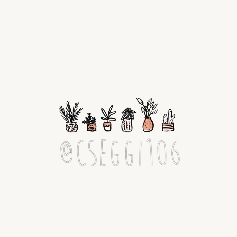 bundle for @cseggi106