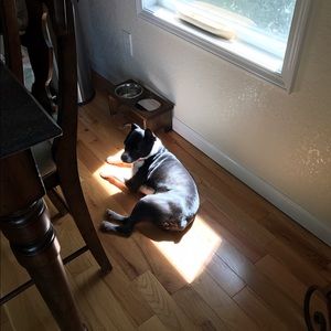 Meet your Posher, Todd