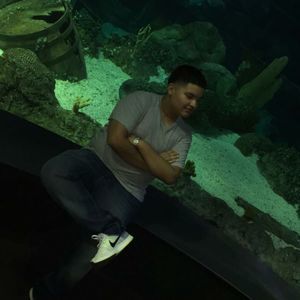 Meet your Posher, Hugo