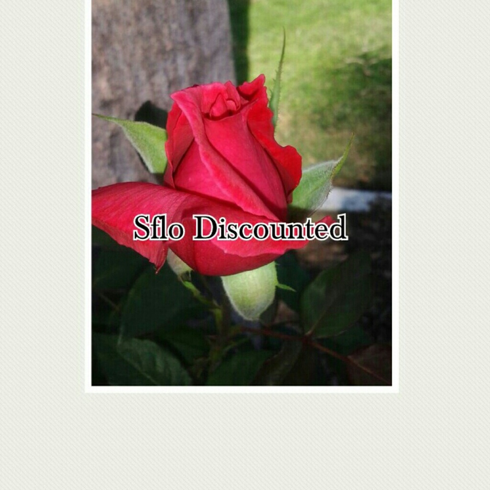 Meet your Posher, Sandy