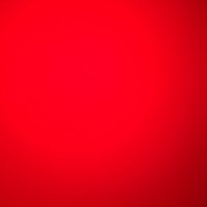 Meet your Posher, Riley