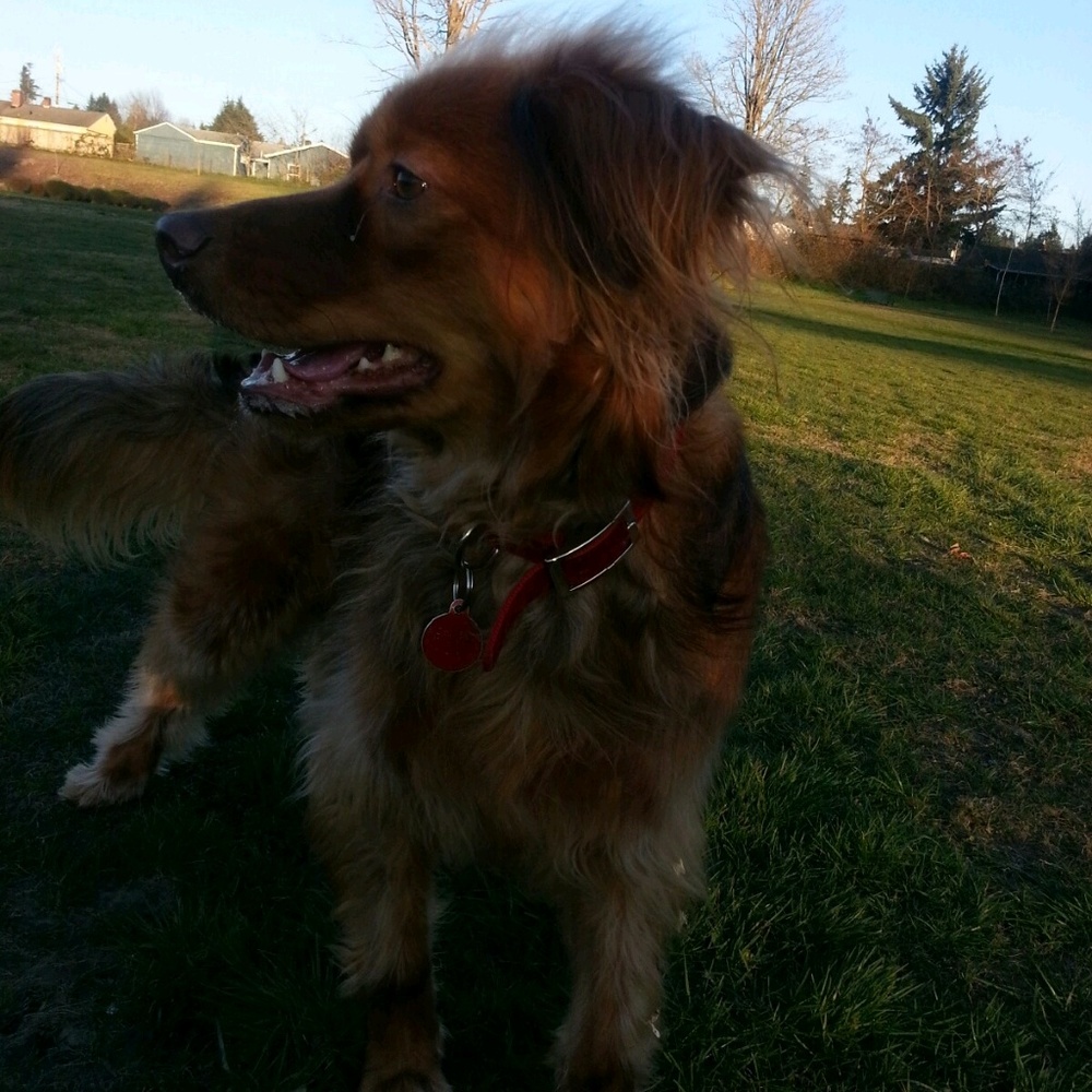 Meet your Posher, Cecilia