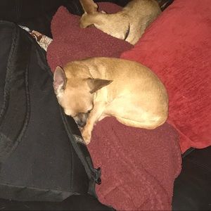 Meet your Posher, Ashlyn