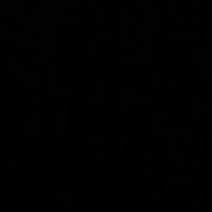 Meet your Posher, Josephine