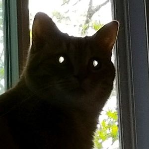 Meet your Posher, Natalie