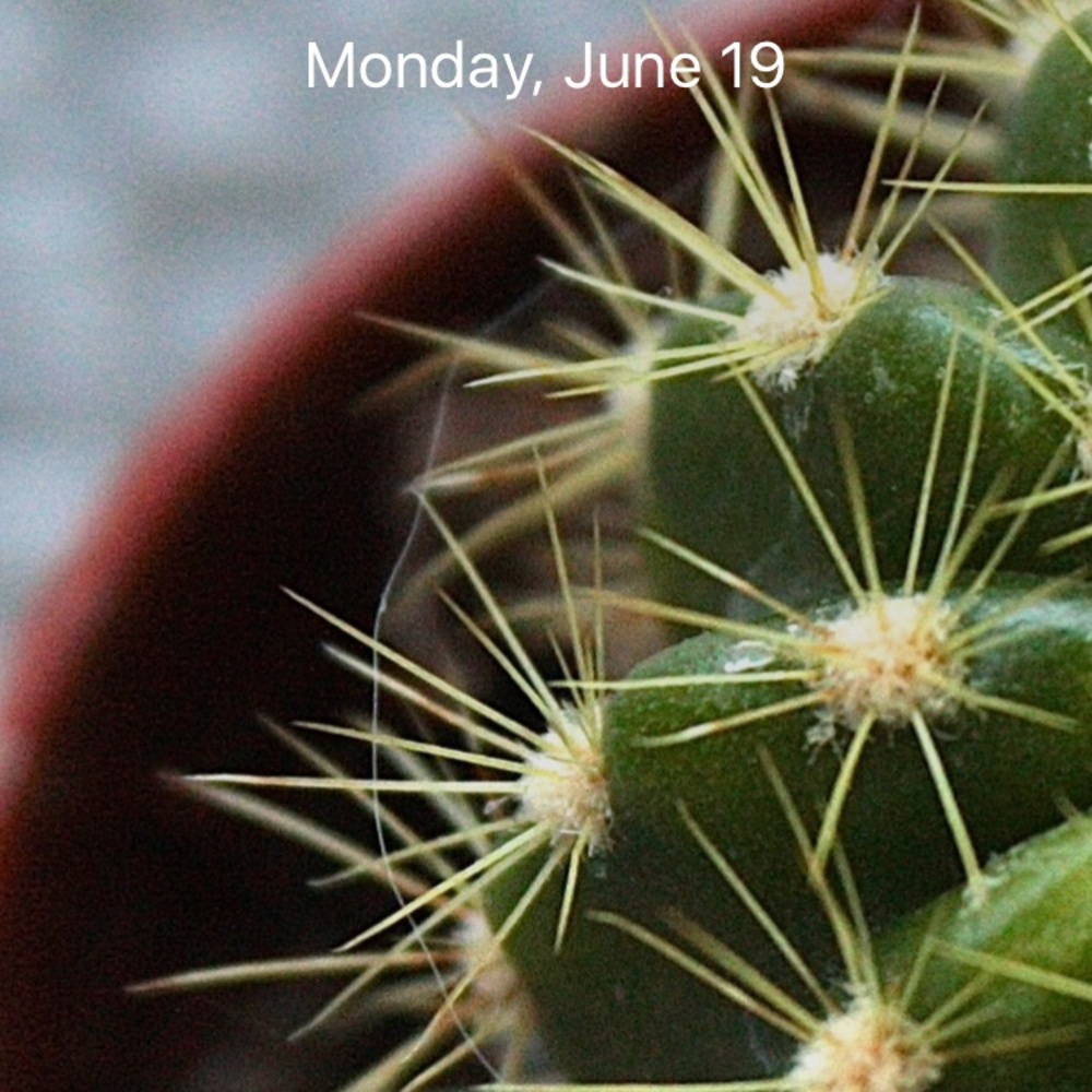 Meet your Posher, Dana