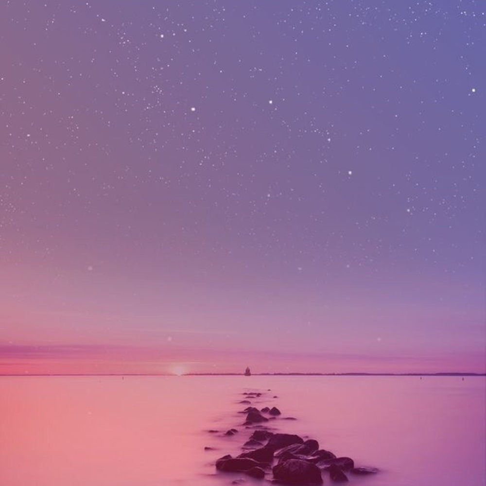 Meet your Posher, Xochitl