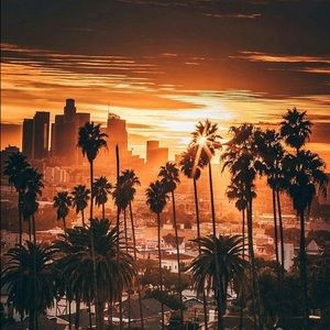 Meet your Posher, Genesis