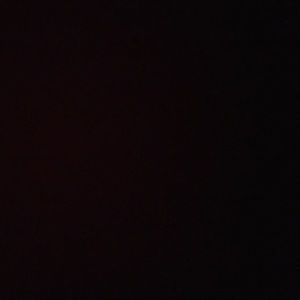 Meet your Posher, Dino