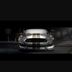 Meet your Posher, William