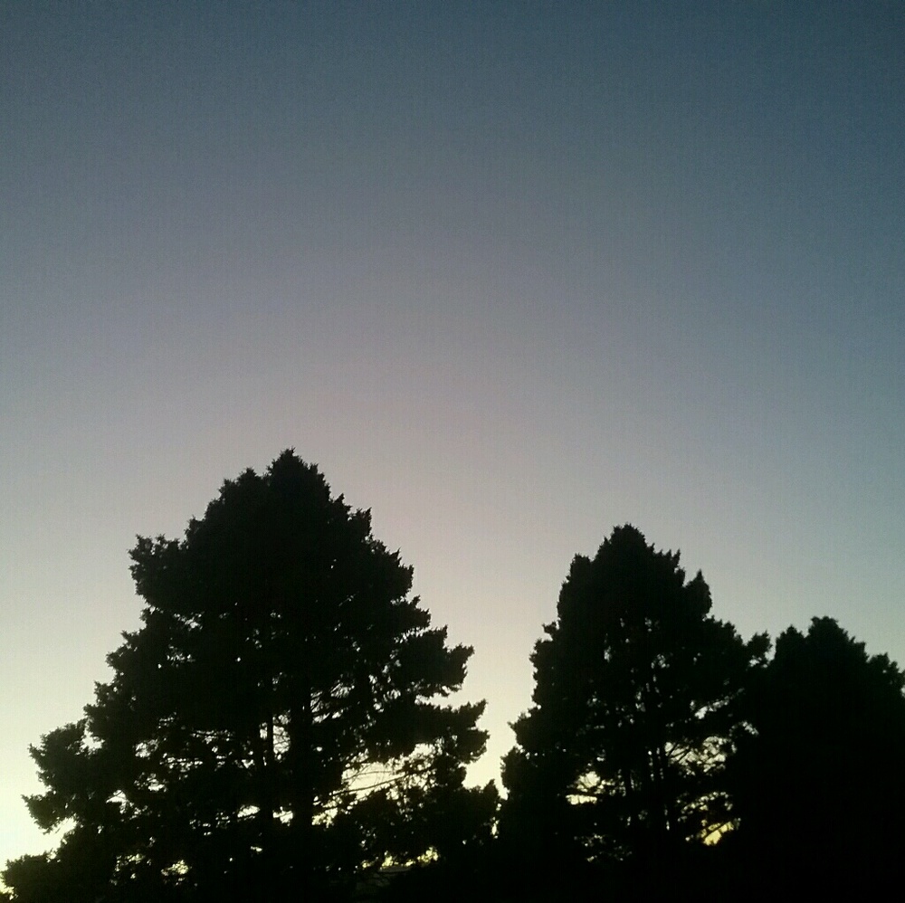 Meet your Posher, Lauri