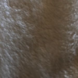 Meet your Posher, Ellie