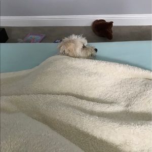 Meet your Posher, Quyen