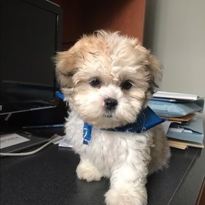 Meet your Posher, Eric