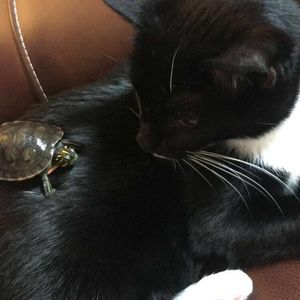 Meet your Posher, Ashlyn