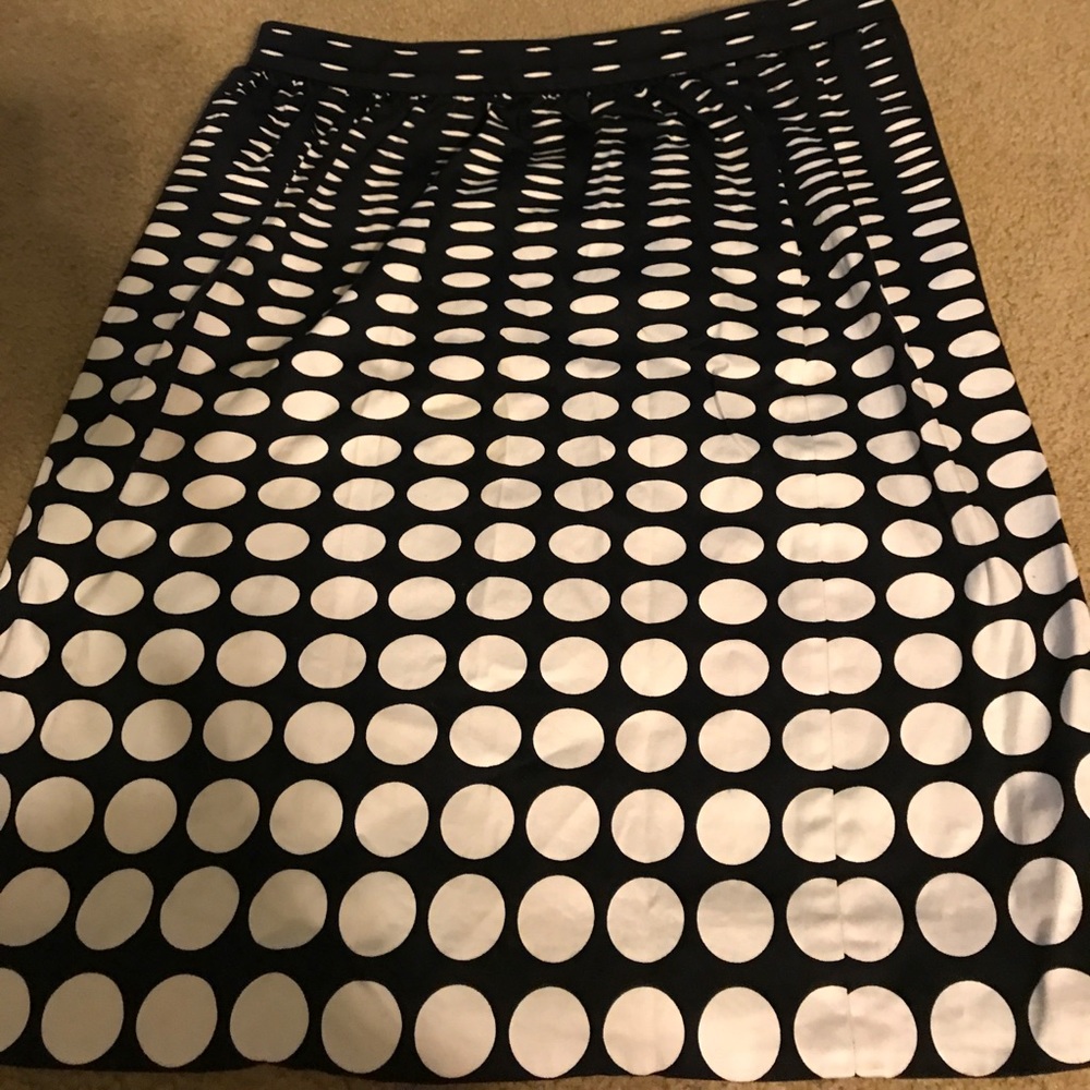 JCrew skirt.