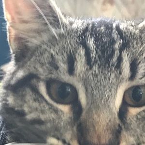 Meet your Posher, Robert