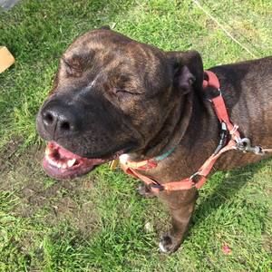 Meet your Posher, Dave