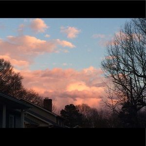 Meet your Posher, Audrey